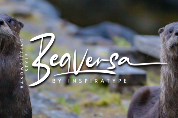 Beaversa: A Friendly Font That Elevates Your Brand
