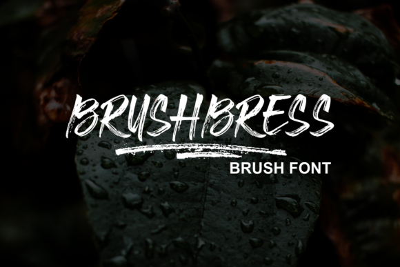 Brushbress Font: Elevate Your Brand with a Handwritten Touch
