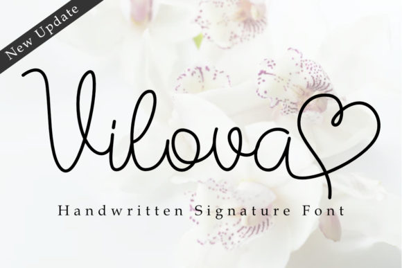 Vilova: A Script Font with Editorial Elegance
